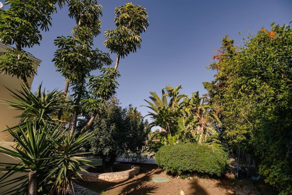 Villa Elmar Aegina Eksteriør bilde